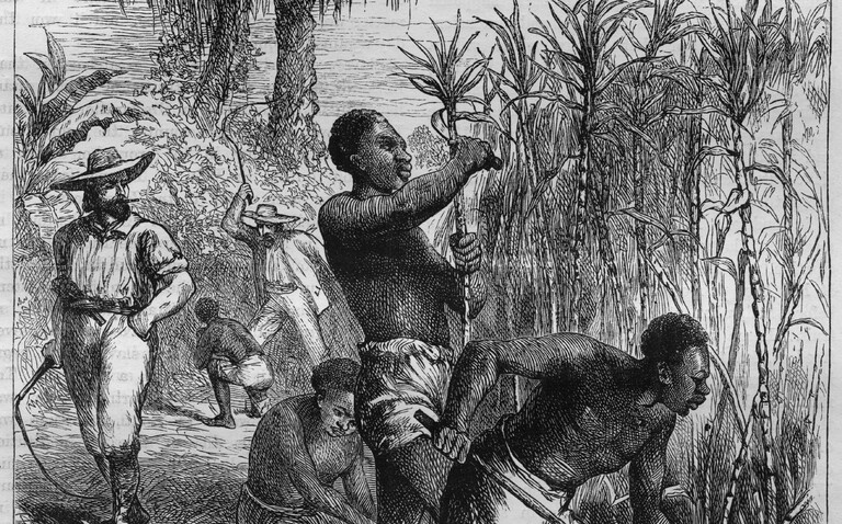 Enslaved people working on a Plantation in the US. Slavery Images: A Visual Record of the African Slave Trade and Slave Life in the Early African Diaspora.